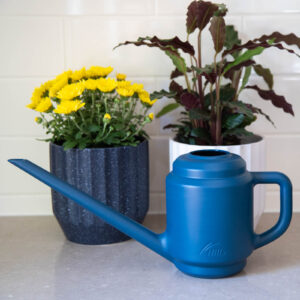 50134173_HILLS 1.5L WATERING CAN_0316_WEB