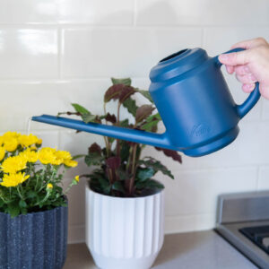 50134173_HILLS 1.5L WATERING CAN_0323_WEB