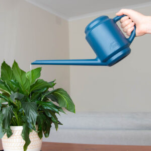 50134173_HILLS 1.5L WATERING CAN_3695_WEB